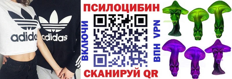 Галлюциногенные грибы прущие грибы Бологое