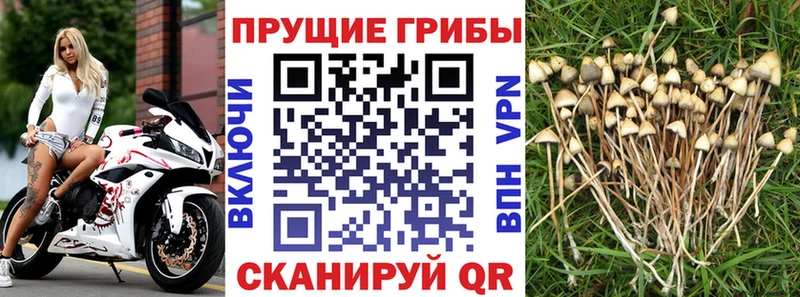 Галлюциногенные грибы мицелий  blacksprut сайт  Бологое 